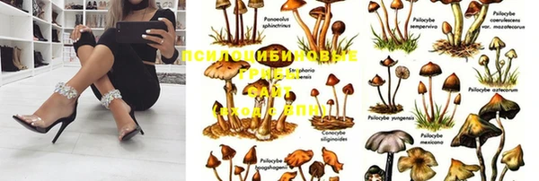 наркотики Баксан