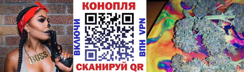 купить  цена  Кущёвская  Шишки марихуана план 